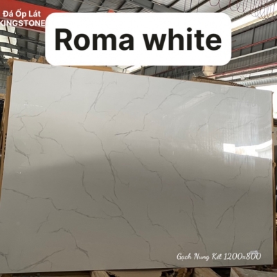 Gạch nung kết Roma White