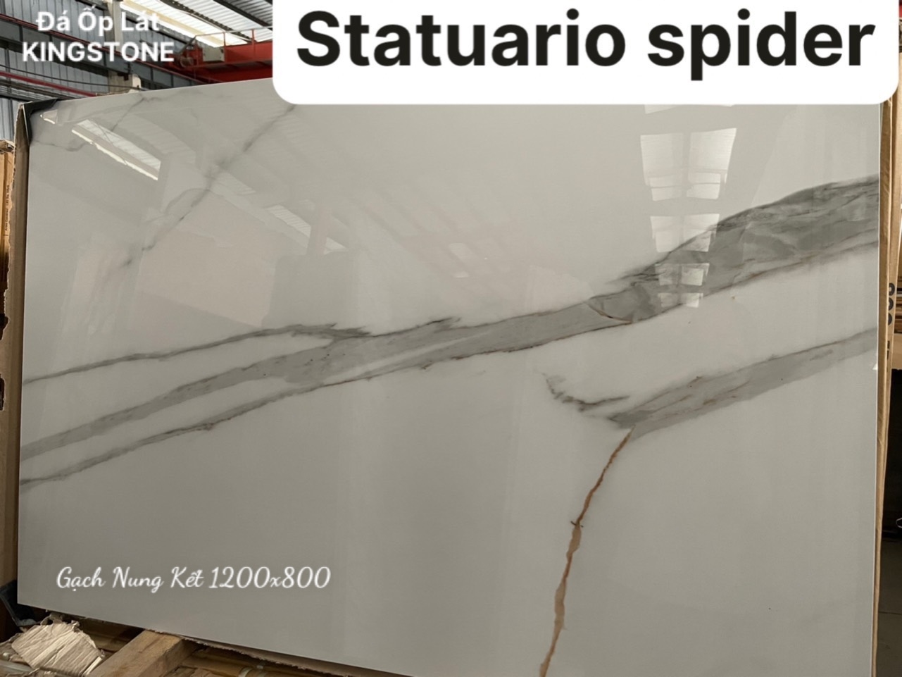 Gạch nung kết Statuario Spider